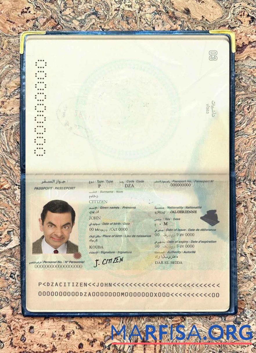 Downloadable Algeria passport photo look example